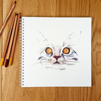 Bloc dessin format 21x21cm, Yeux de chat