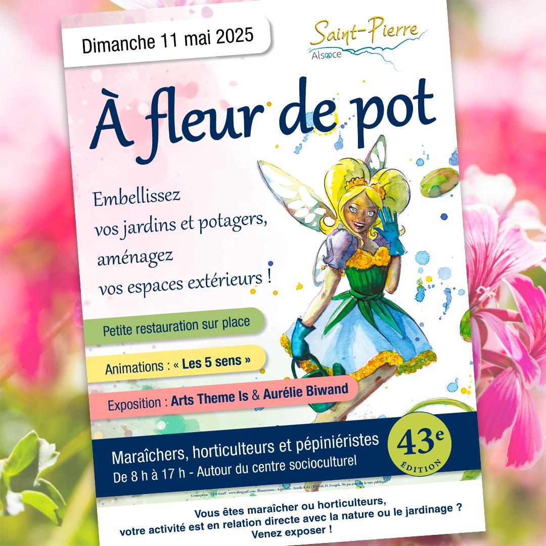 Saint pierre a fleur de pot 2025